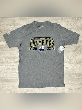New Era Toronto Argonauts CFL 2022 109th Grey Cup Champions Grey Graphic T-Shirt